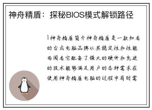 神舟精盾：探秘BIOS模式解锁路径